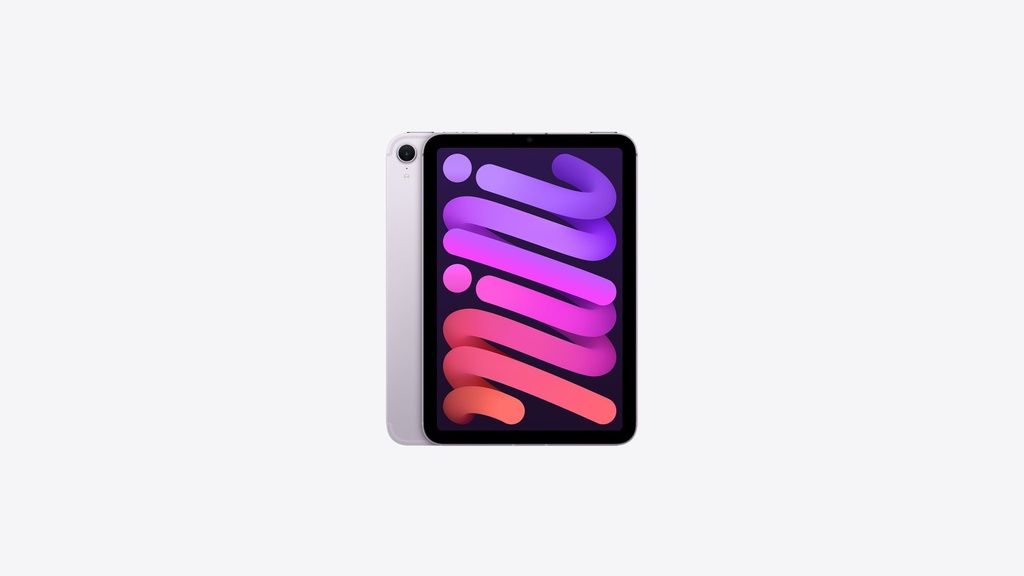 IPAD MINI WI-FI + CELLULAR 256GB - PURPLE