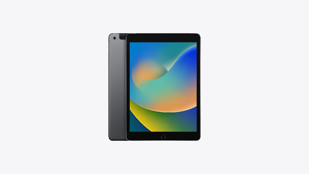 10.2-INCH IPAD WI-FI + CELLULAR 256GB - SPACE GREY