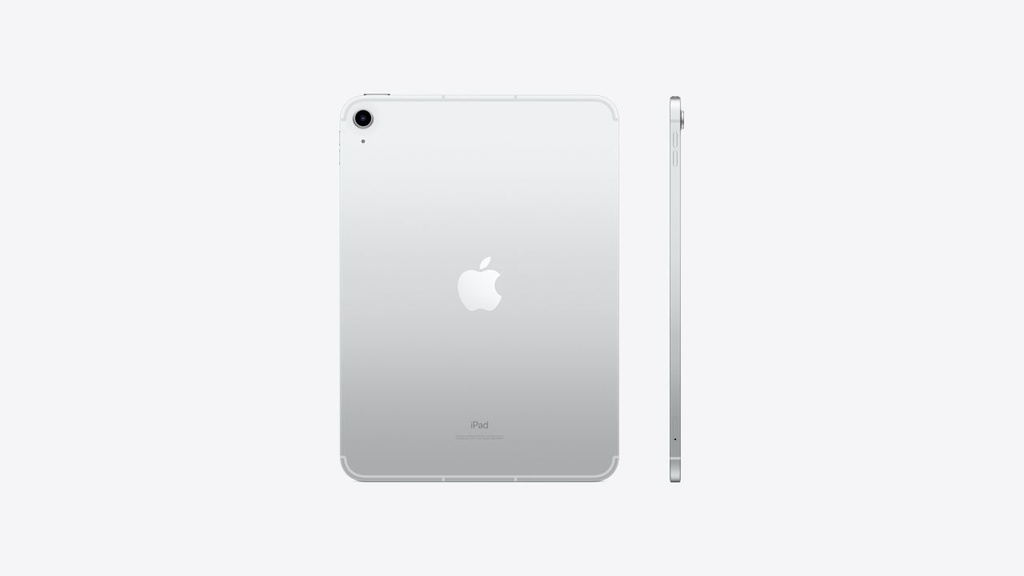      10.9-INCH IPAD WI-FI + CELLULAR 256GB - SILVER
