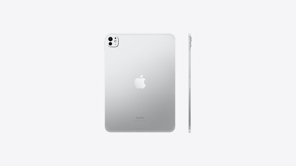 11-INCH IPAD PRO WIFI + CELLULAR 256GB WITH STANDARD GLASS - SILVER