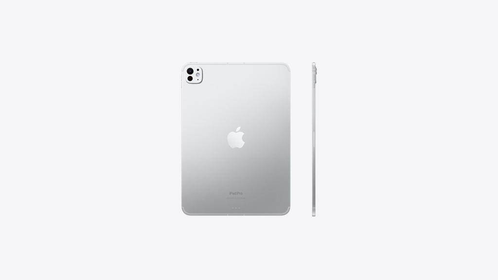 11-INCH IPAD PRO WIFI + CELLULAR 512GB WITH STANDARD GLASS - SILVER