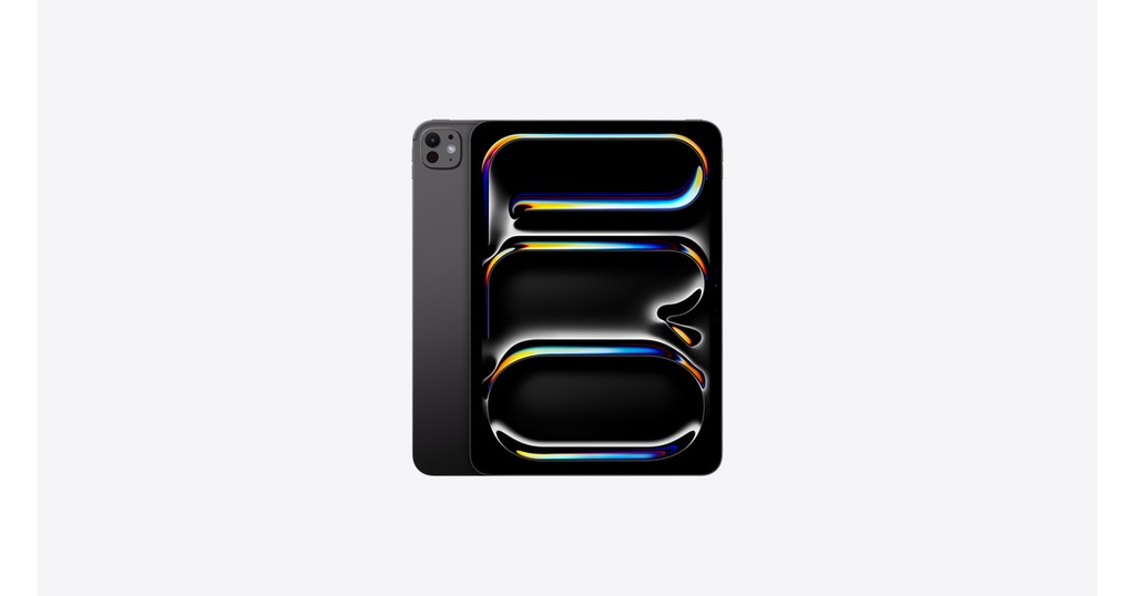 11-INCH IPAD PRO WIFI 256GB WITH STANDARD GLASS - SPACE BLACK