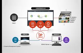 REACH IP 