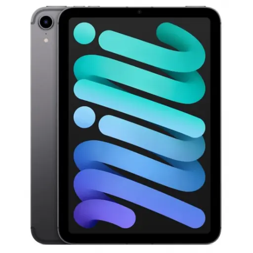 [989-000405] IPAD MINI WI-FI 256GB - SPACE GREY 