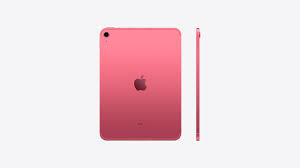 IPAD MINI WI-FI + CELLULAR 256GB - PINK